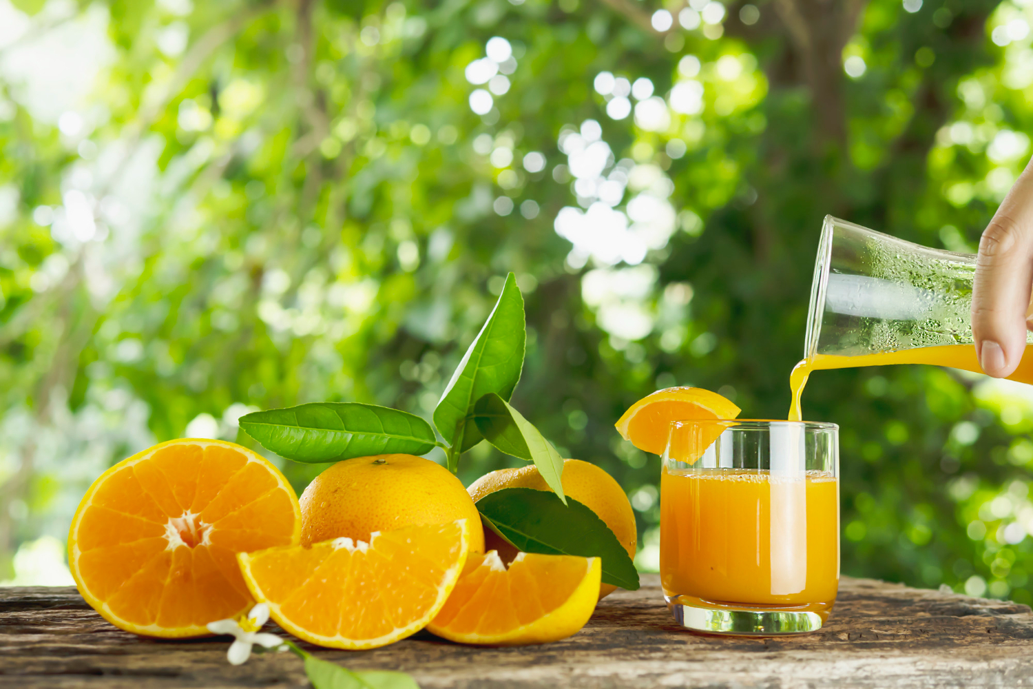 Care este rolul vitaminei C in preventia bolilor
