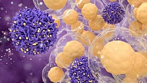 Ce sunt limfocitele T Rolul lor in combaterea infectiilor