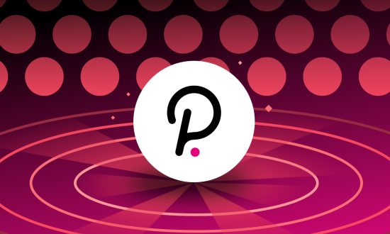 Ce este Polkadot